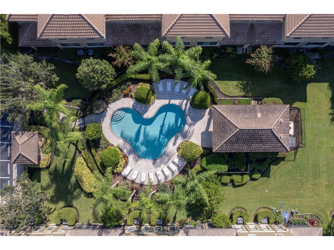 2527 Silverback Court Palm Harbor FL 34684 TB8377533 image67