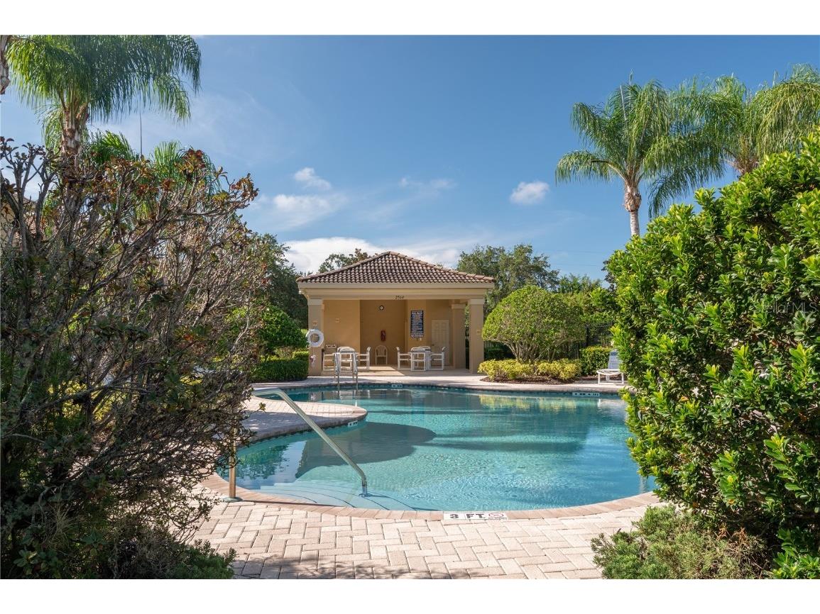 2527 Silverback Court Palm Harbor FL 34684 TB8377533 image68