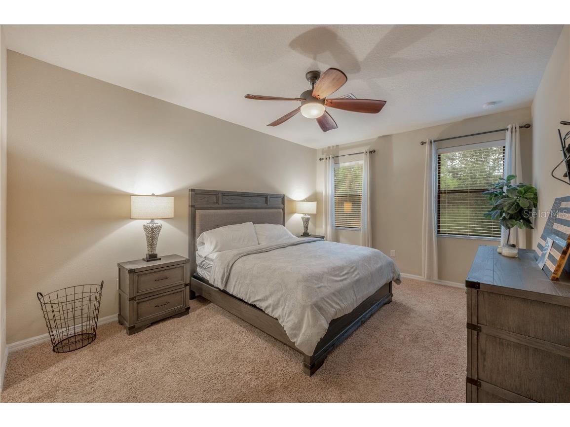 2527 Silverback Court Palm Harbor FL 34684 TB8377533 image73