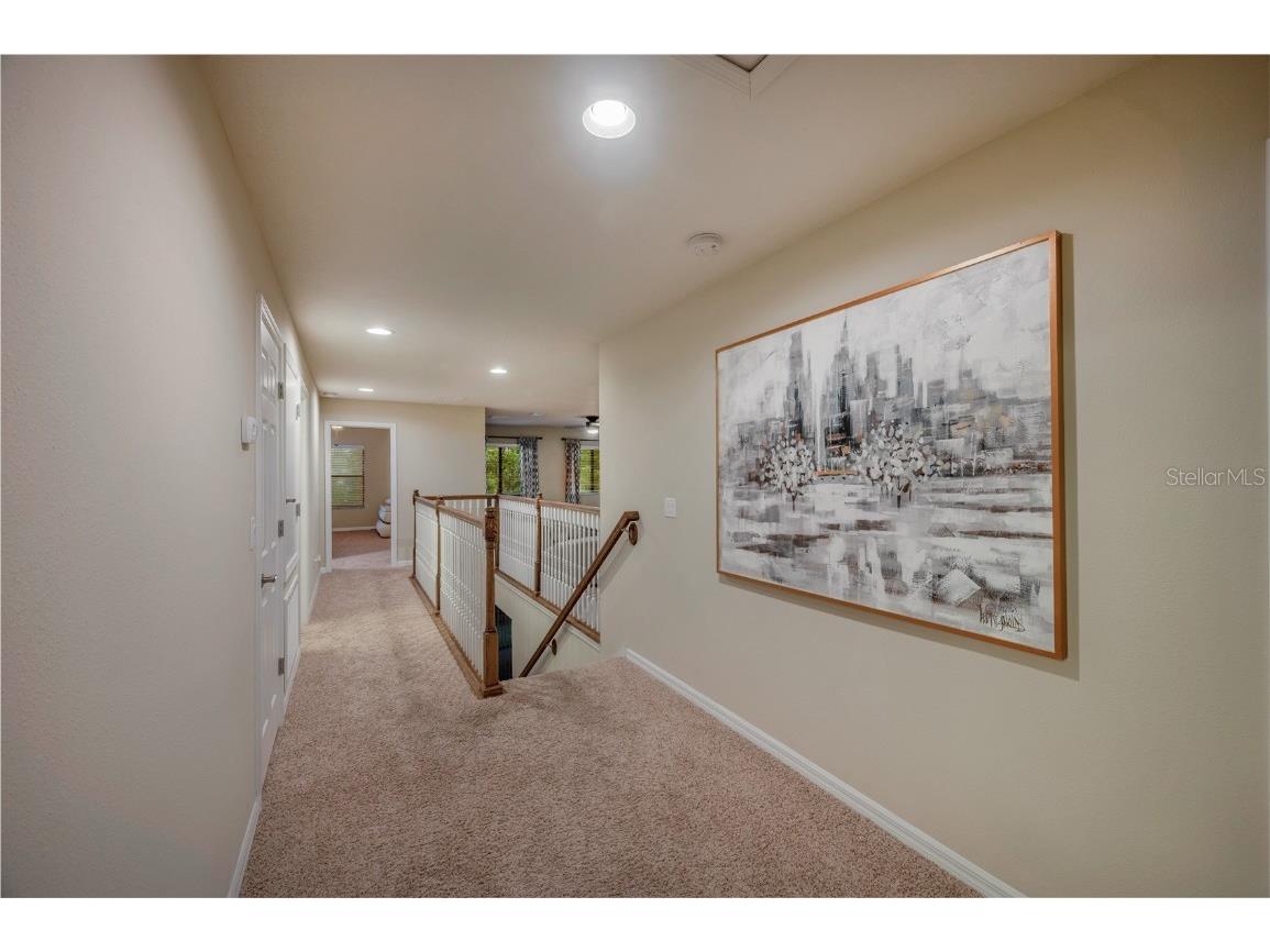 2527 Silverback Court Palm Harbor FL 34684 TB8377533 image75