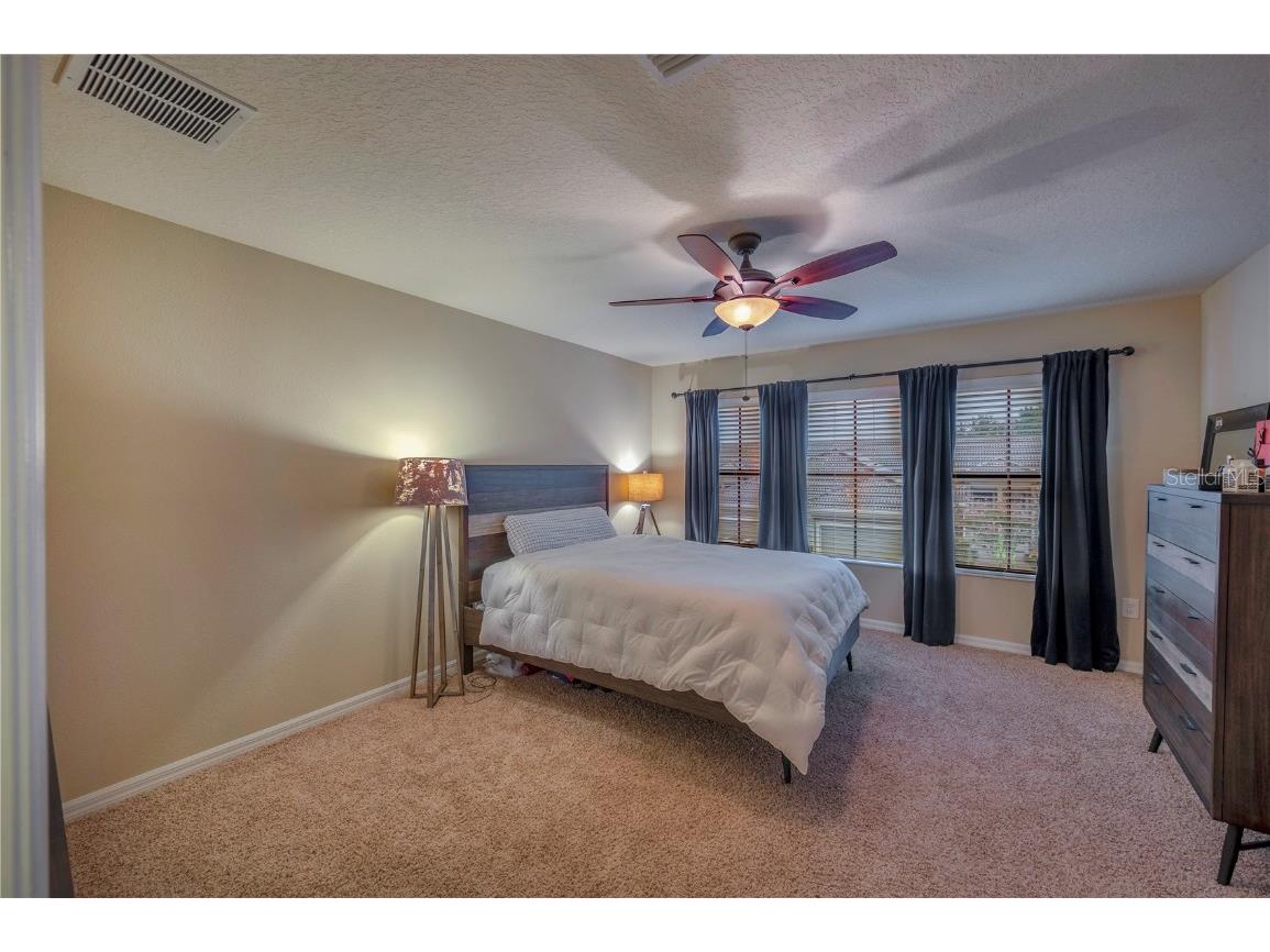 2527 Silverback Court Palm Harbor FL 34684 TB8377533 image77