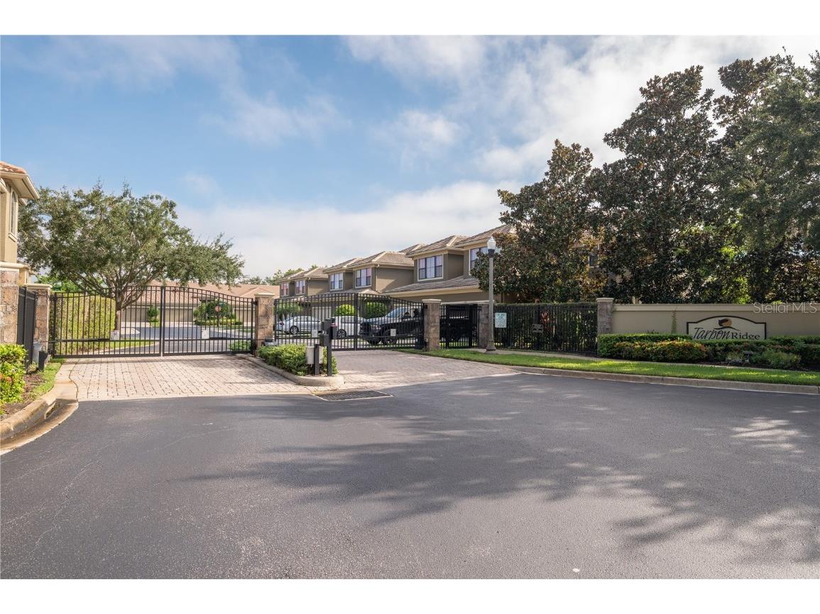 2527 Silverback Court Palm Harbor FL 34684 TB8377533 image8