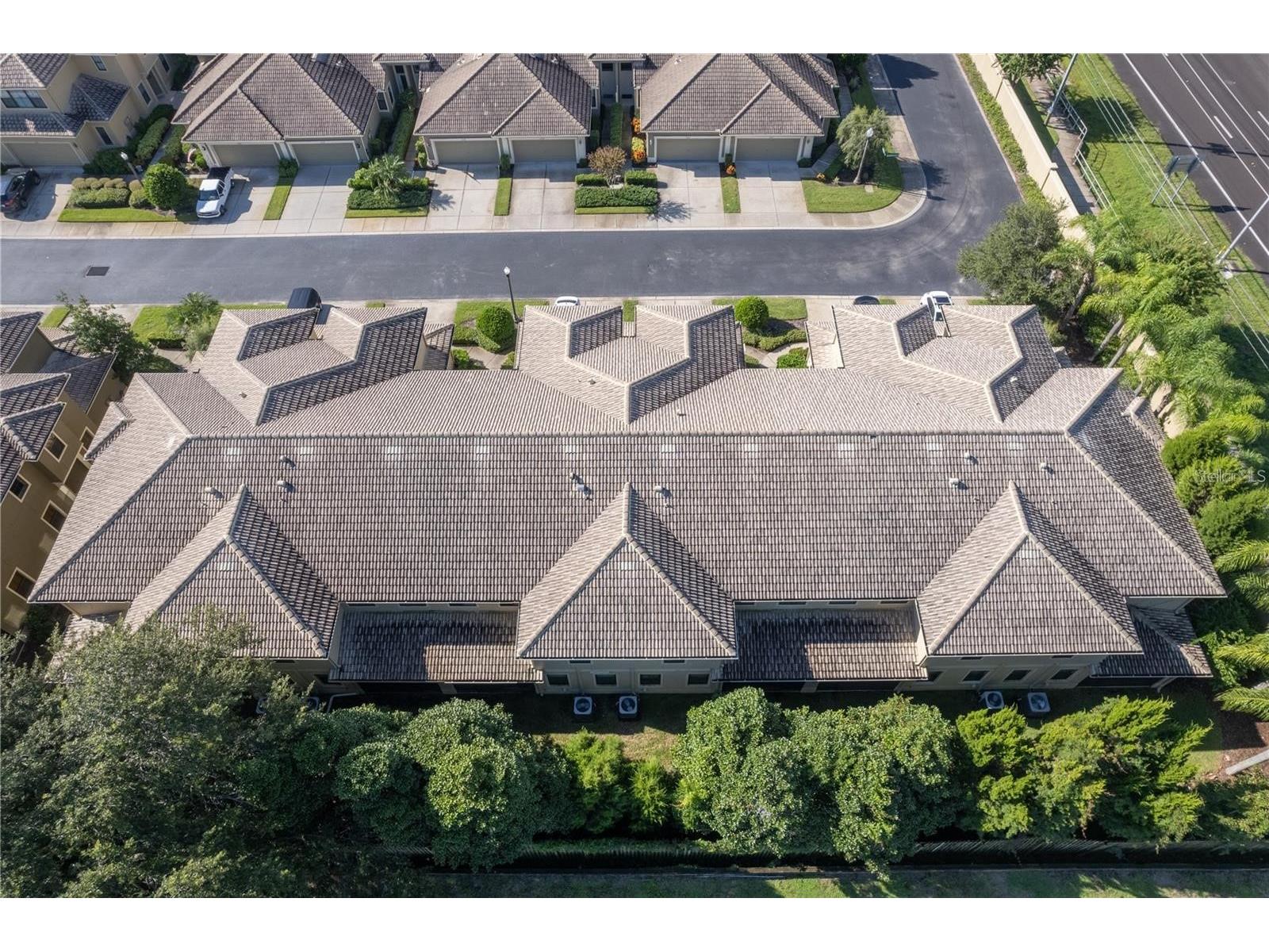 2527 Silverback Court Palm Harbor FL 34684 TB8499231 image2