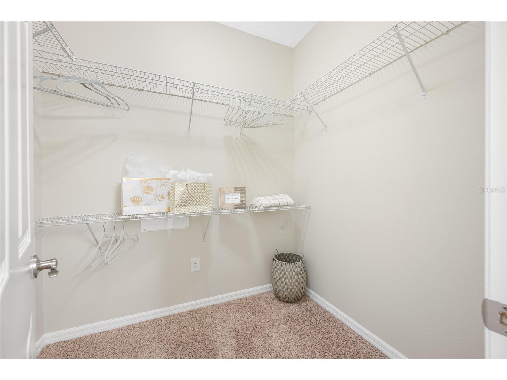 2527 Silverback Court Palm Harbor FL 34684 TB8499231 image33