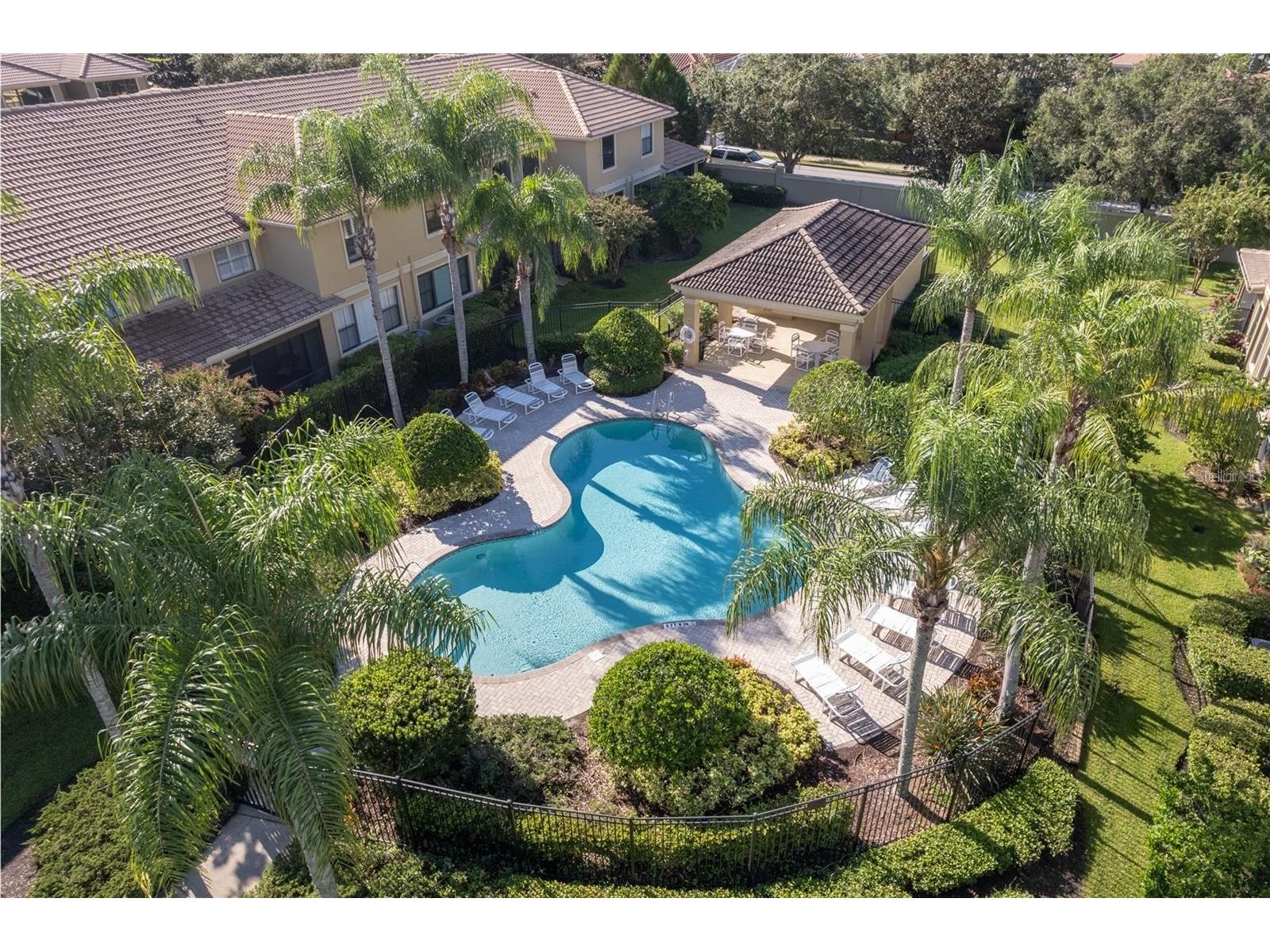 2527 Silverback Court Palm Harbor FL 34684 TB8499231 image4