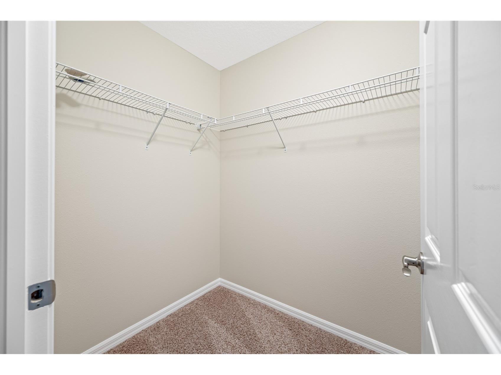2527 Silverback Court Palm Harbor FL 34684 TB8499231 image42