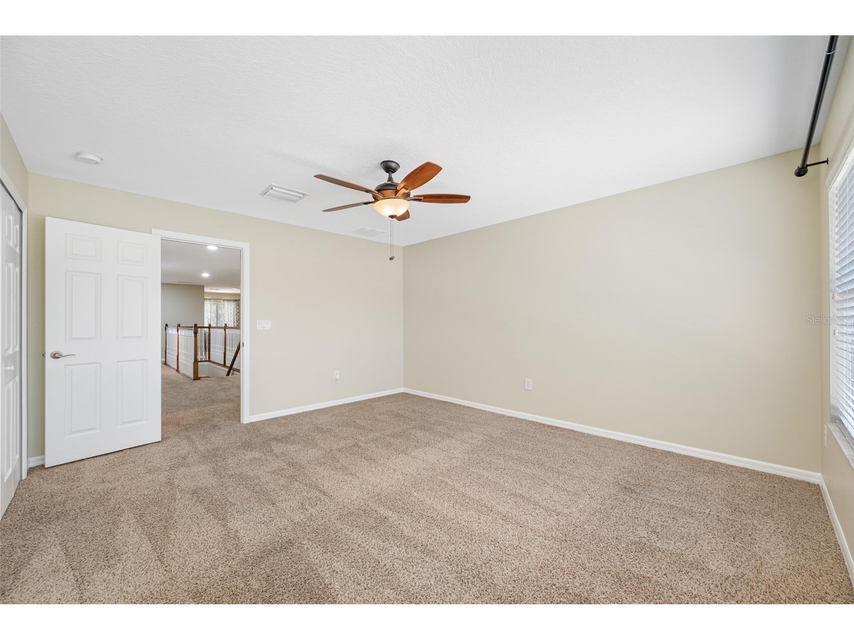 2527 Silverback Court Palm Harbor FL 34684 TB8499231 image52