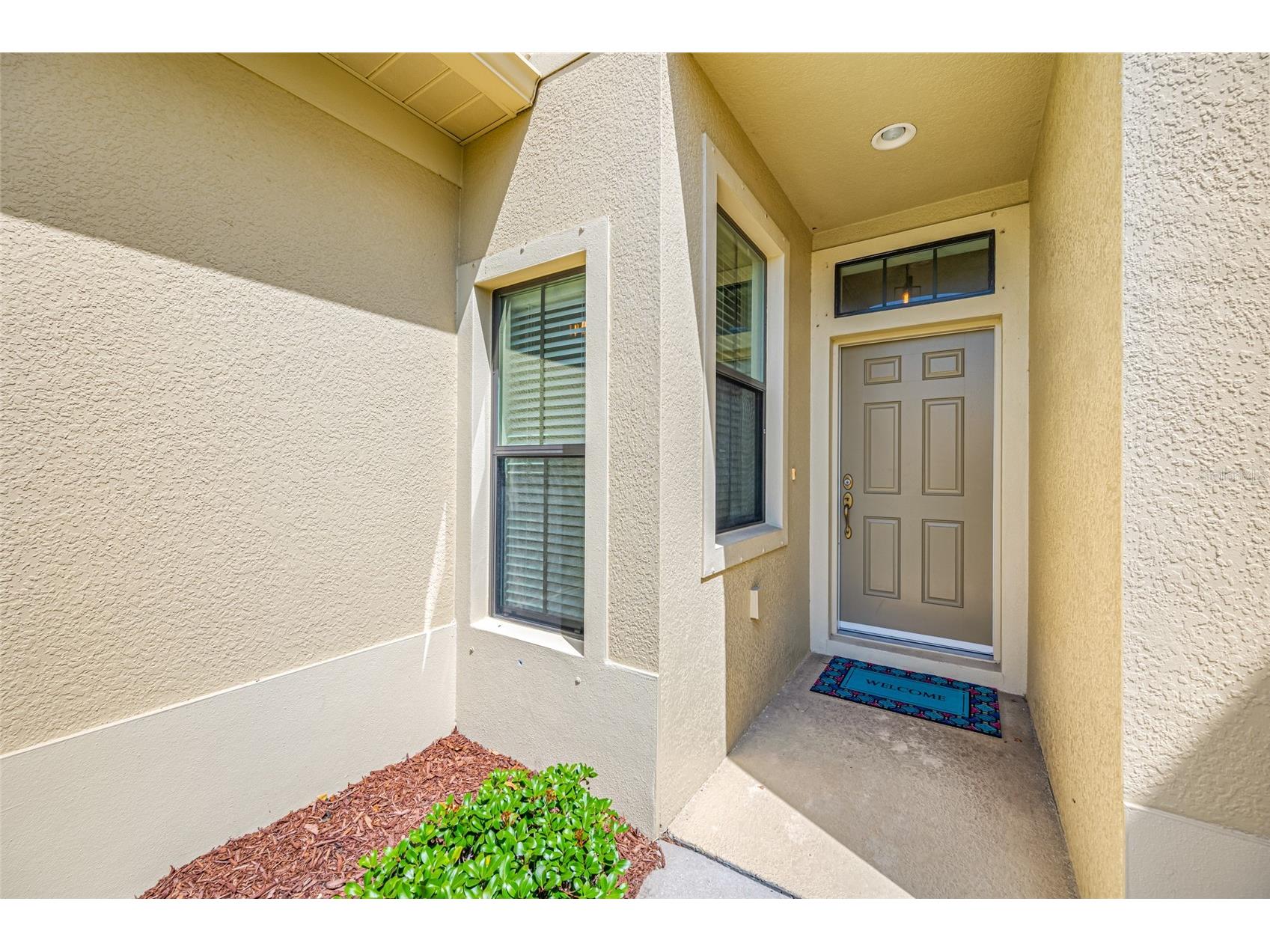 2527 Silverback Court Palm Harbor FL 34684 TB8499231 image7