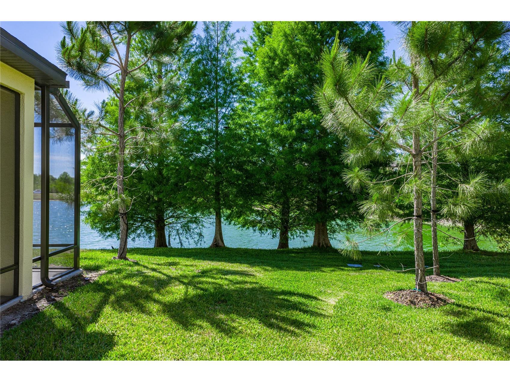 2527 Stapleford Place Wesley Chapel FL 33543 TB8474706 image12