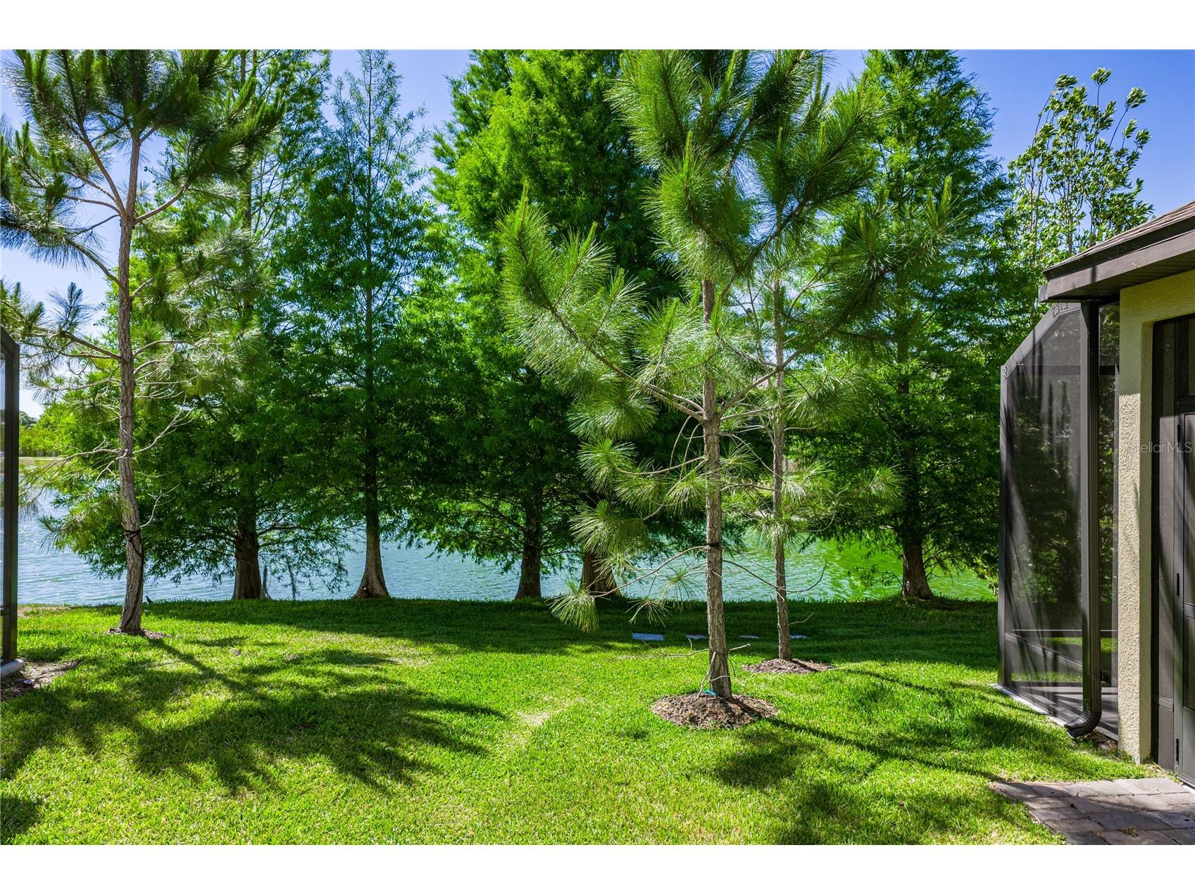2527 Stapleford Place Wesley Chapel FL 33543 TB8474706 image32