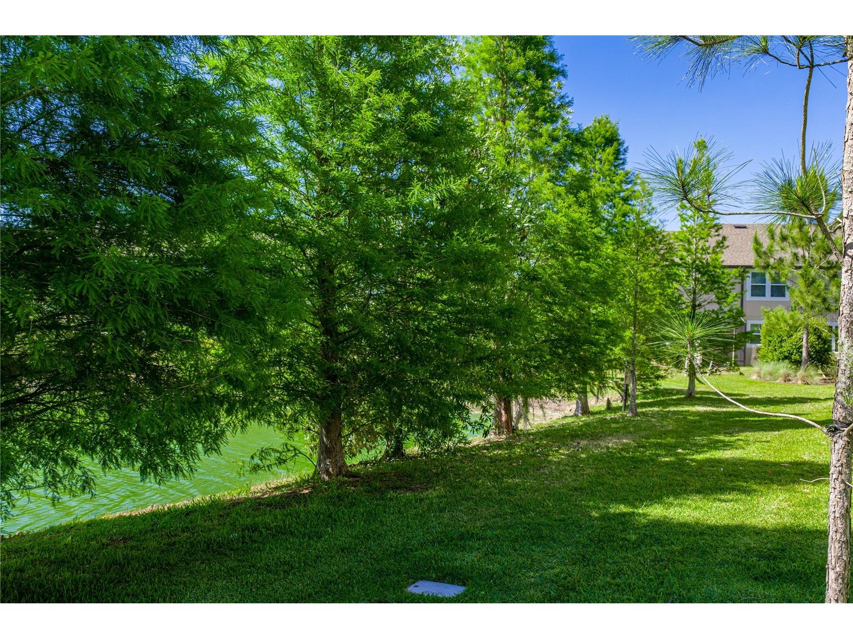 2527 Stapleford Place Wesley Chapel FL 33543 TB8474706 image34