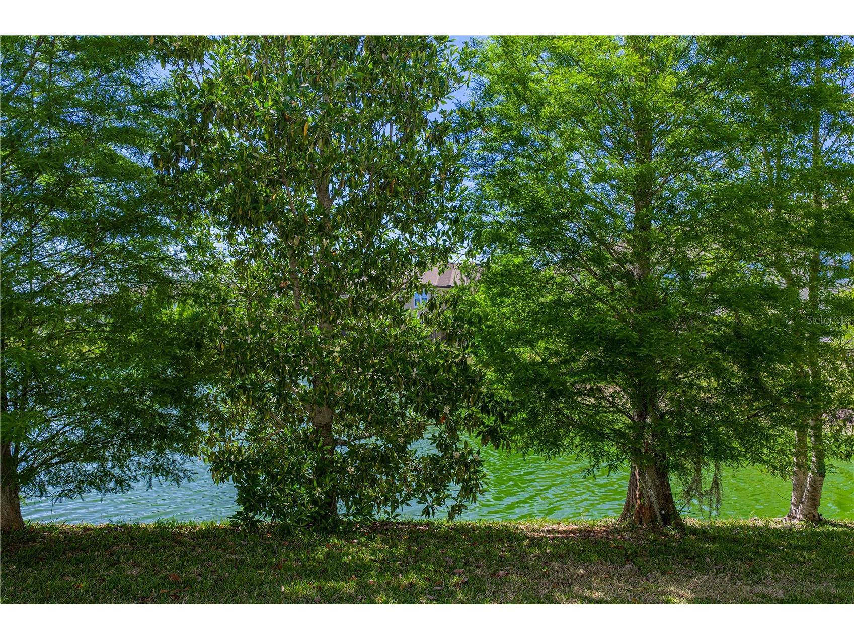 2527 Stapleford Place Wesley Chapel FL 33543 TB8474706 image36