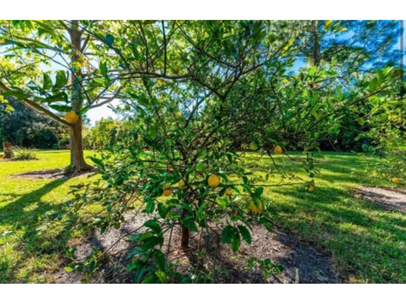 25271 Roland Lane Punta Gorda FL 33955 TB8486617 image2