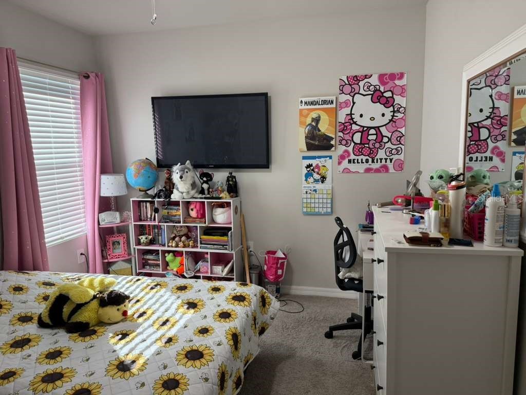 25275 Alcazar Drive Punta Gorda FL 33955 S5141855 image11