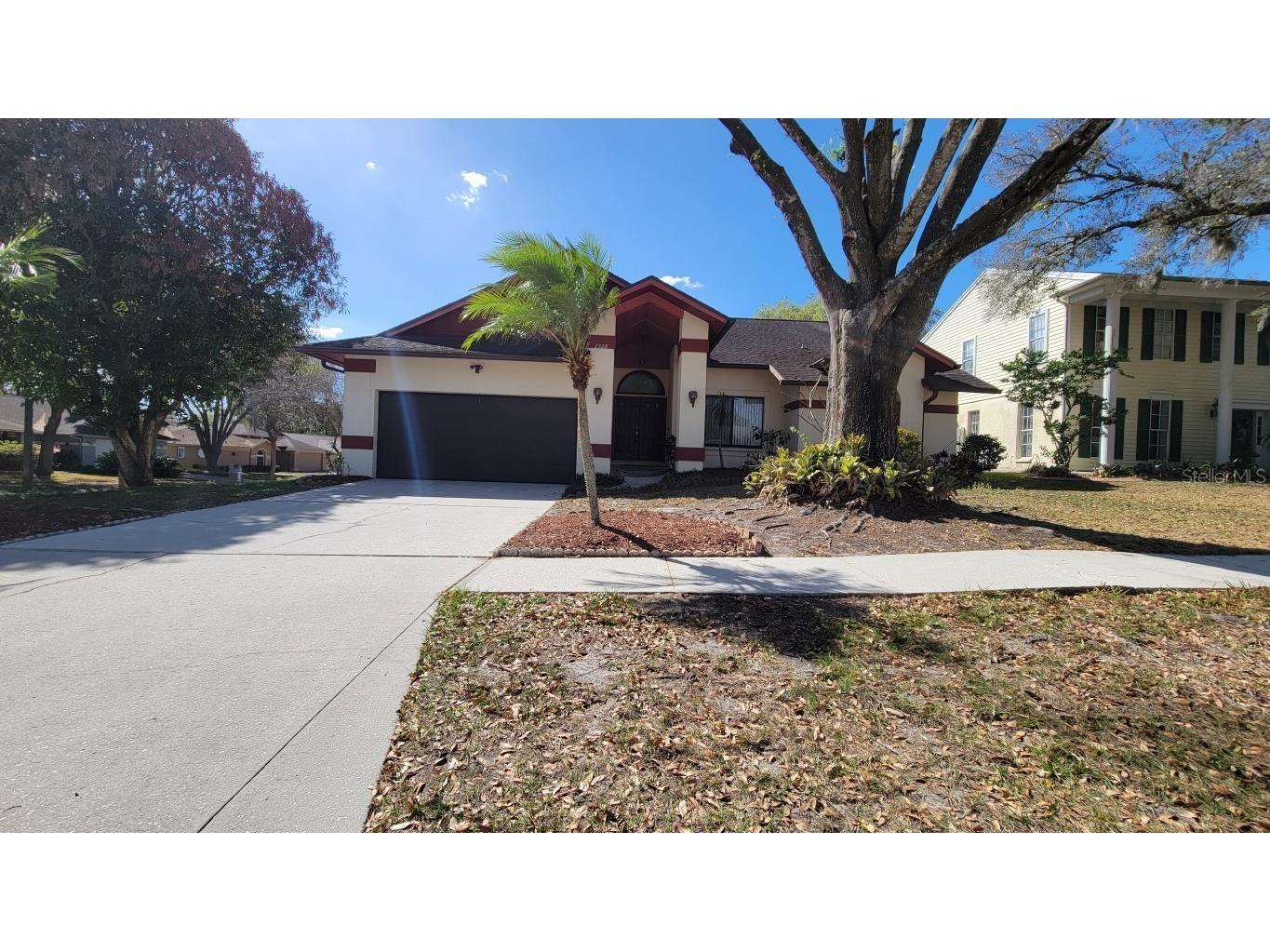 2528 Brimhollow Drive Valrico FL 33596 T3359133 image1