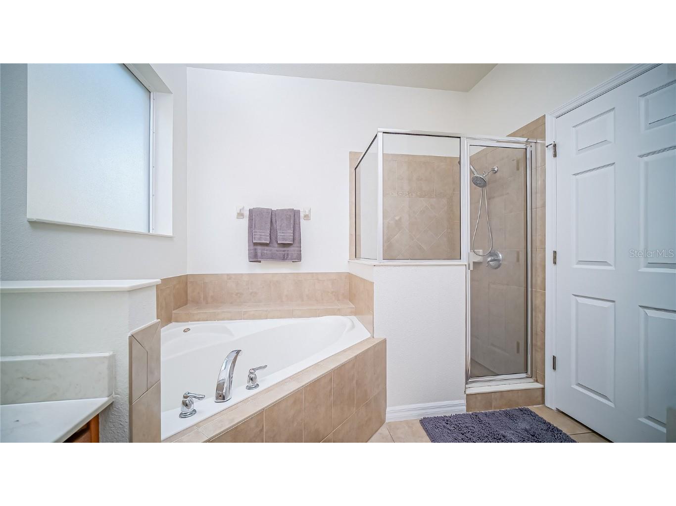 2528 Dharma Circle Kissimmee FL 34746 S5139431 image29