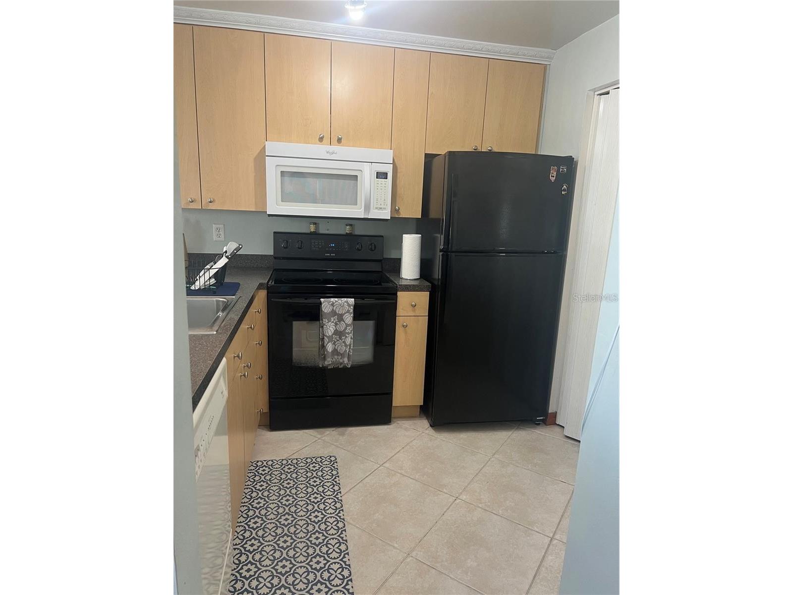 2528 Woodgate Boulevard #201 Orlando FL 32822 S5146560 image7