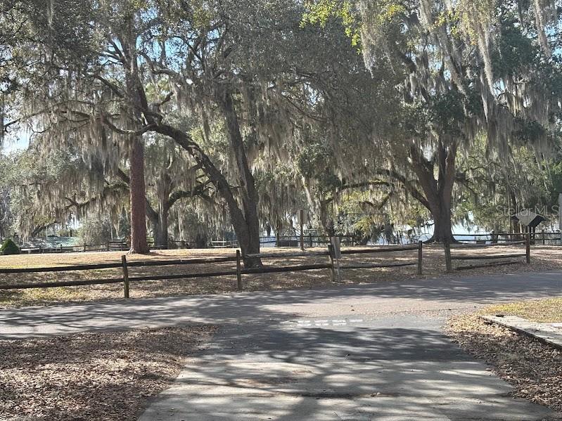 25287 NE 139th Lane #286 Salt Springs FL 32134 - LITTLE LAKE KERR OM720873 image2