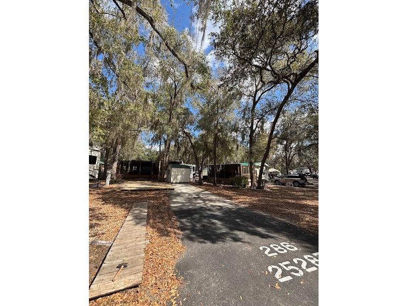 25287 NE 139th Lane #286 Salt Springs FL 32134 - LITTLE LAKE KERR OM720873 image4