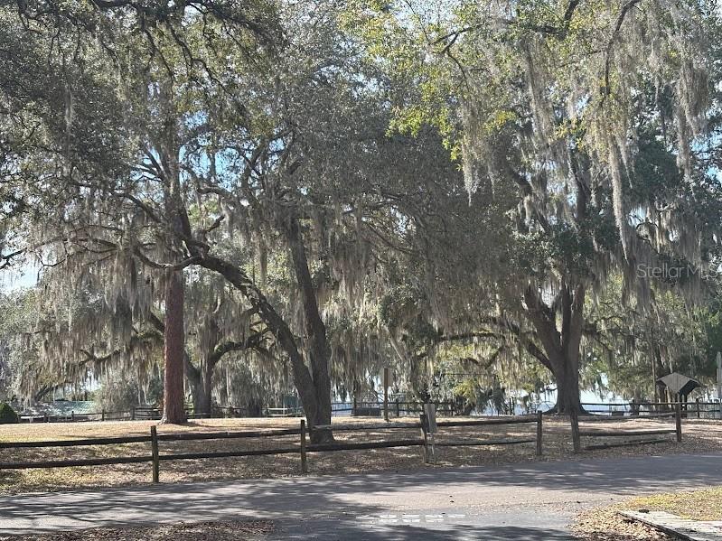 25287 NE 139th Lane #286 Salt Springs FL 32134 - LITTLE LAKE KERR OM720873 image7