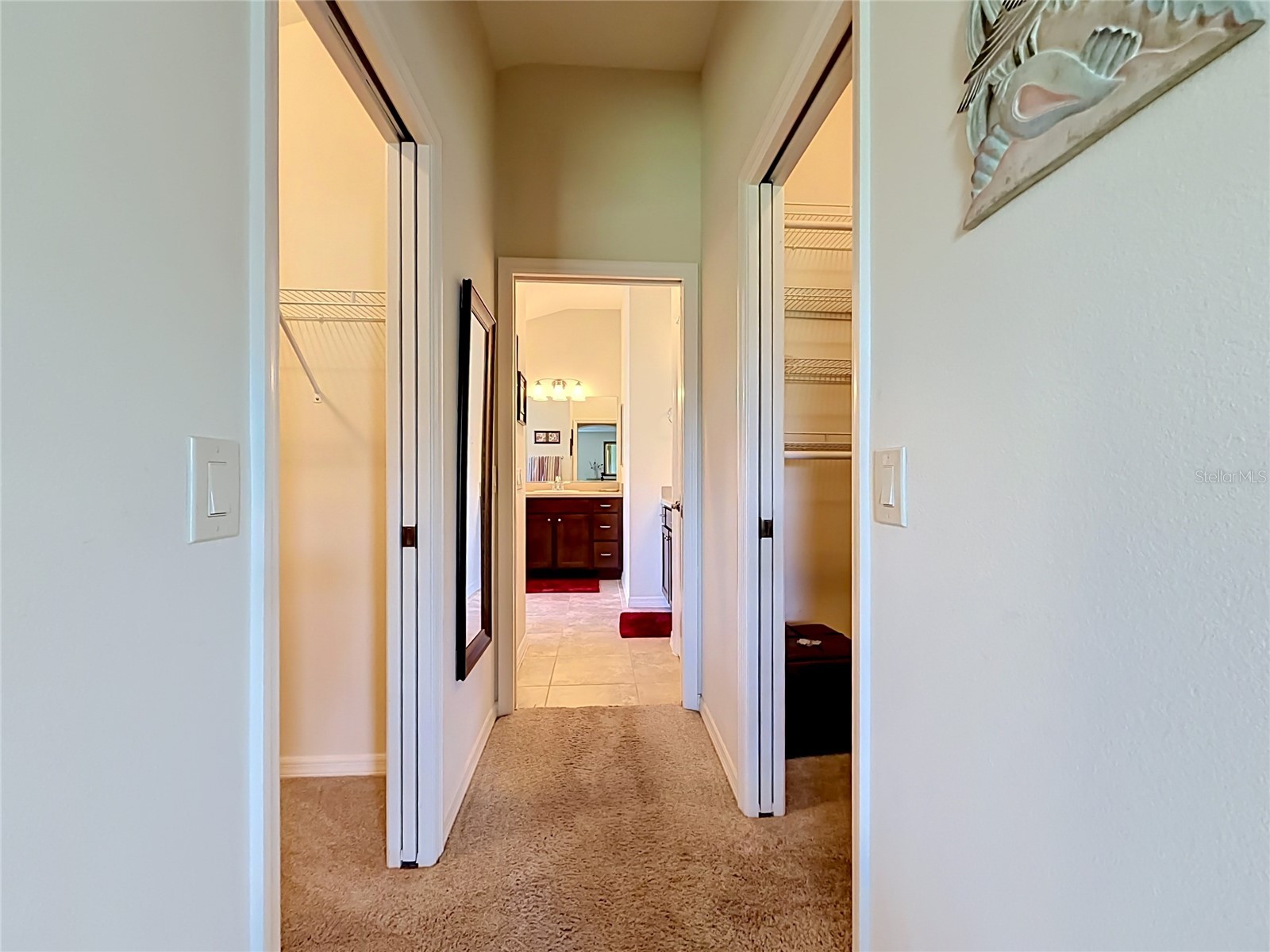 2529 Edenville Path The Villages FL 32162 G5113232 image41