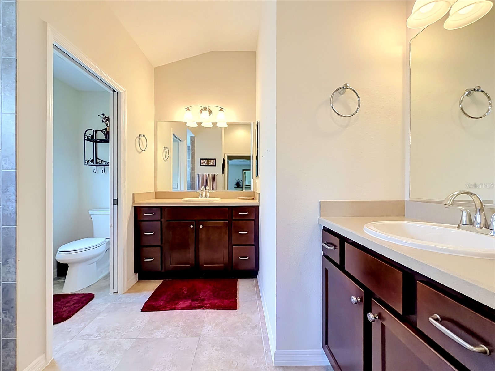 2529 Edenville Path The Villages FL 32162 G5113232 image43