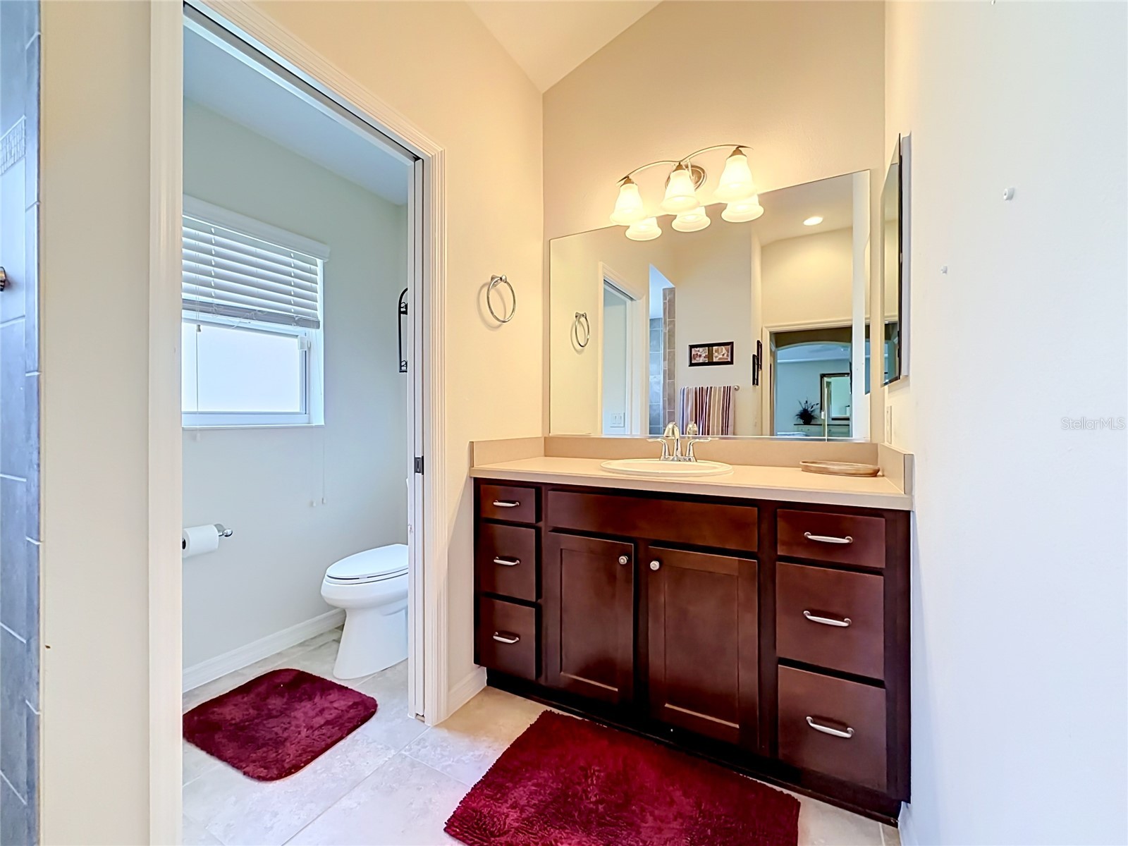 2529 Edenville Path The Villages FL 32162 G5113232 image44
