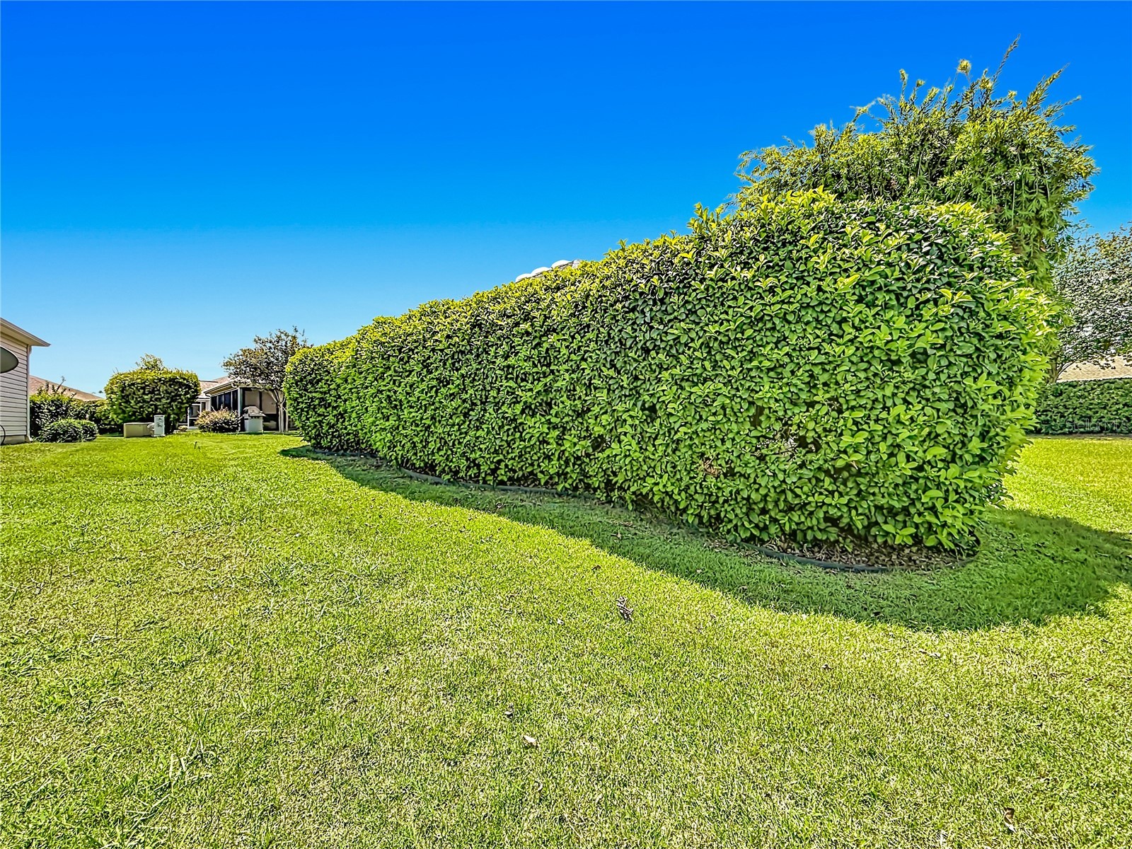 2529 Edenville Path The Villages FL 32162 G5113232 image60