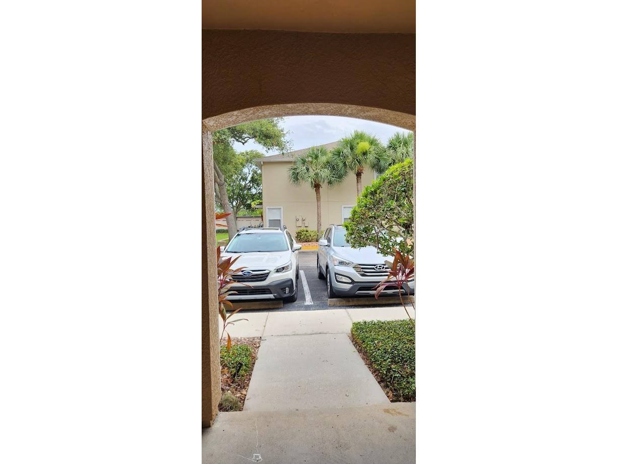 2529 Harn Boulevard #4 Clearwater FL 33764 TB8516362 image25