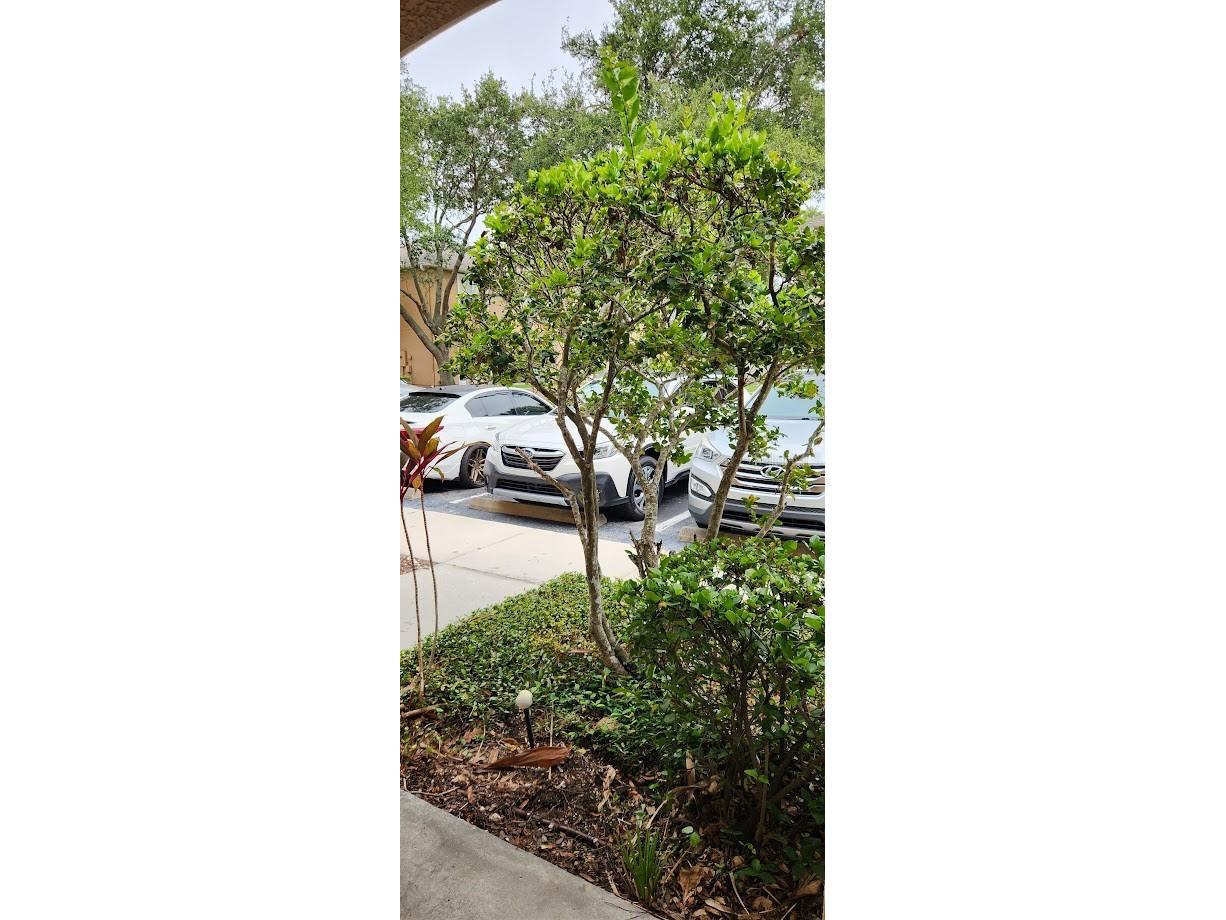2529 Harn Boulevard #4 Clearwater FL 33764 TB8516362 image26