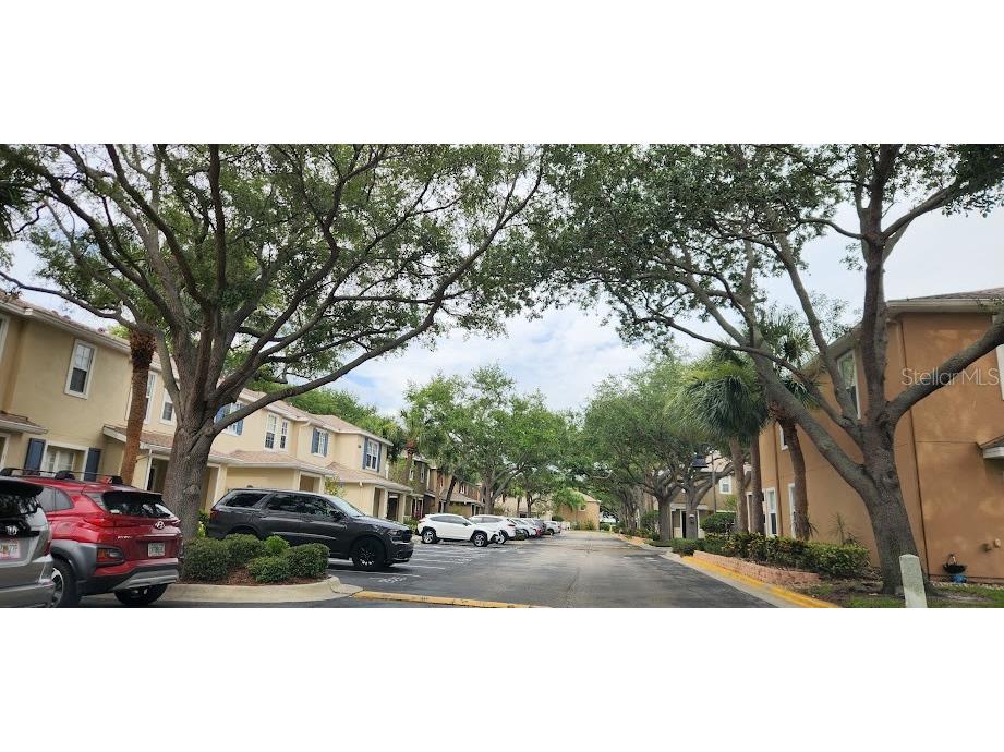 2529 Harn Boulevard #4 Clearwater FL 33764 TB8516362 image27