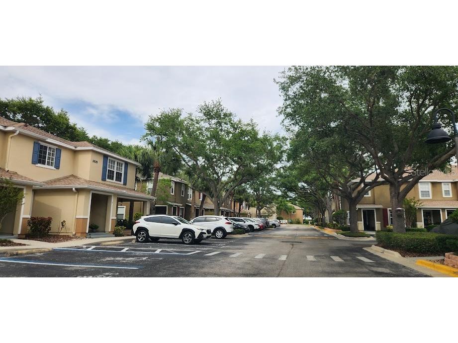 2529 Harn Boulevard #4 Clearwater FL 33764 TB8516362 image28