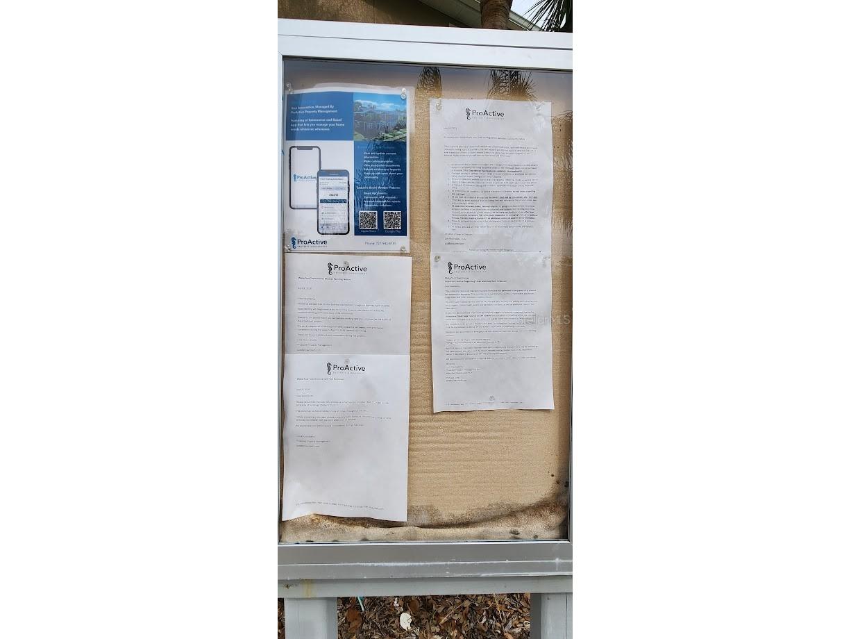 2529 Harn Boulevard #4 Clearwater FL 33764 TB8516362 image30