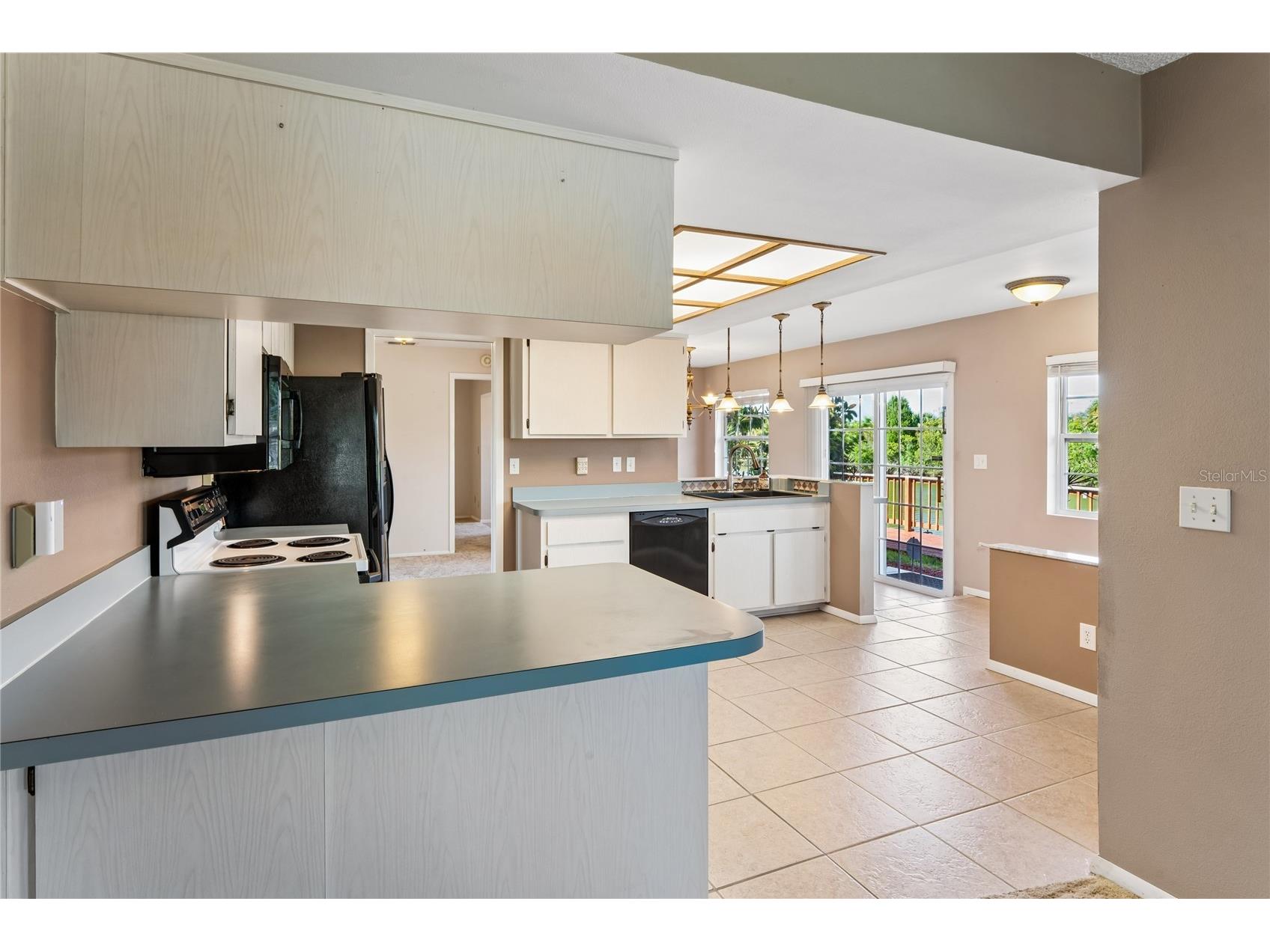 2529 San Luis Road Holiday FL 34691 - LAKE CONLEY W7884683 image21