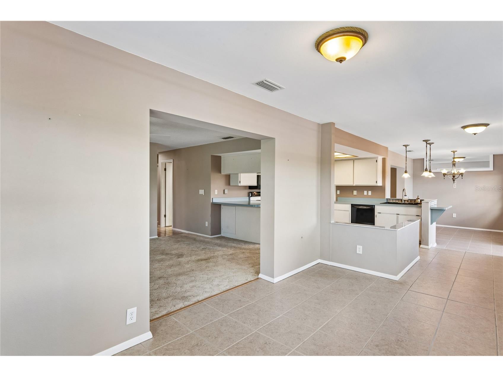 2529 San Luis Road Holiday FL 34691 - LAKE CONLEY W7884683 image28