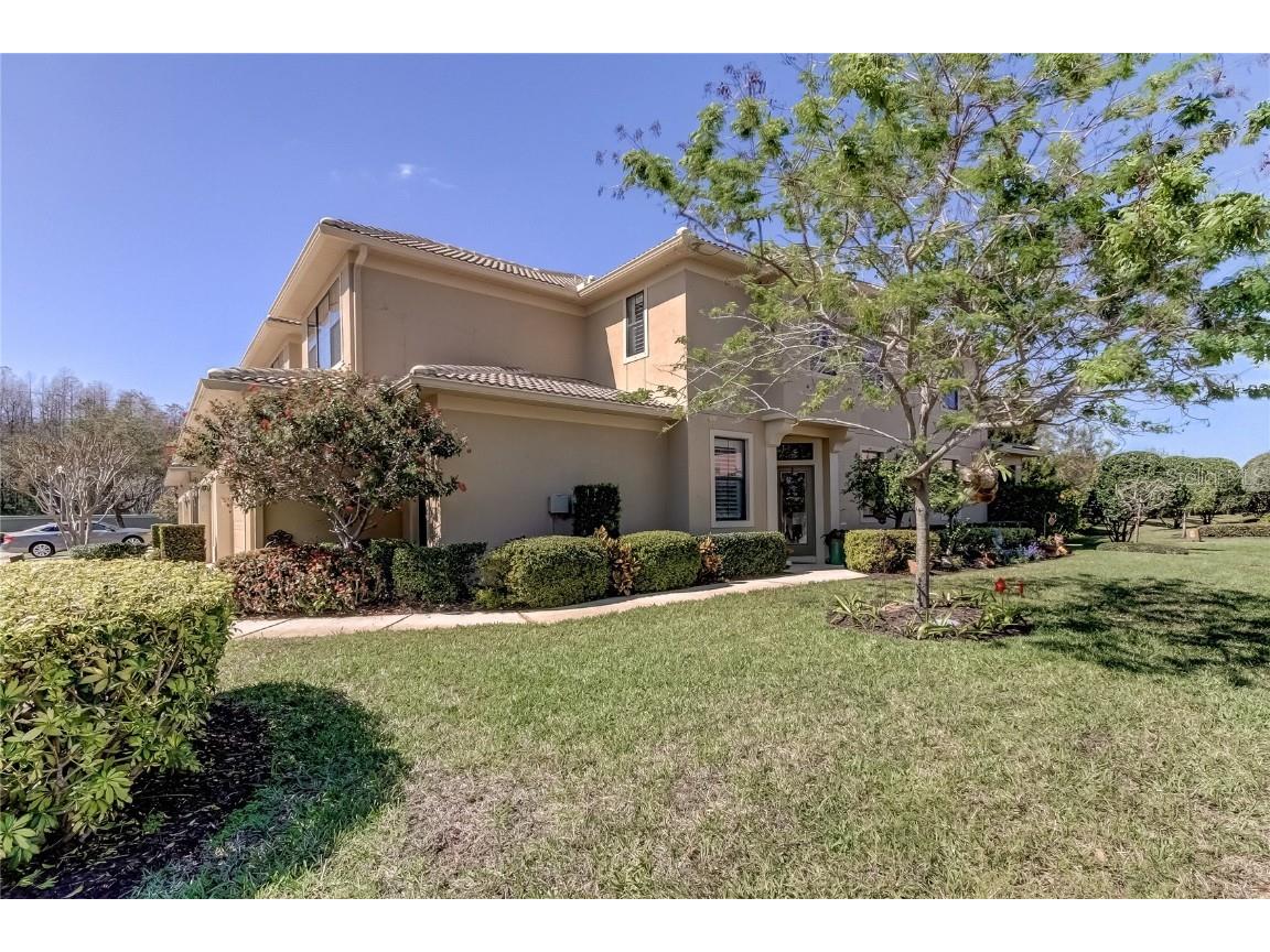 2529 Tranquility Drive Palm Harbor FL 34684 U8191690 image1