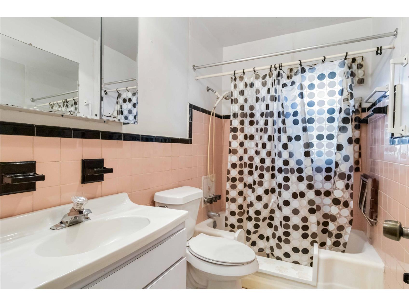 2529 W Crest Avenue Tampa FL 33614 A4677515 image20