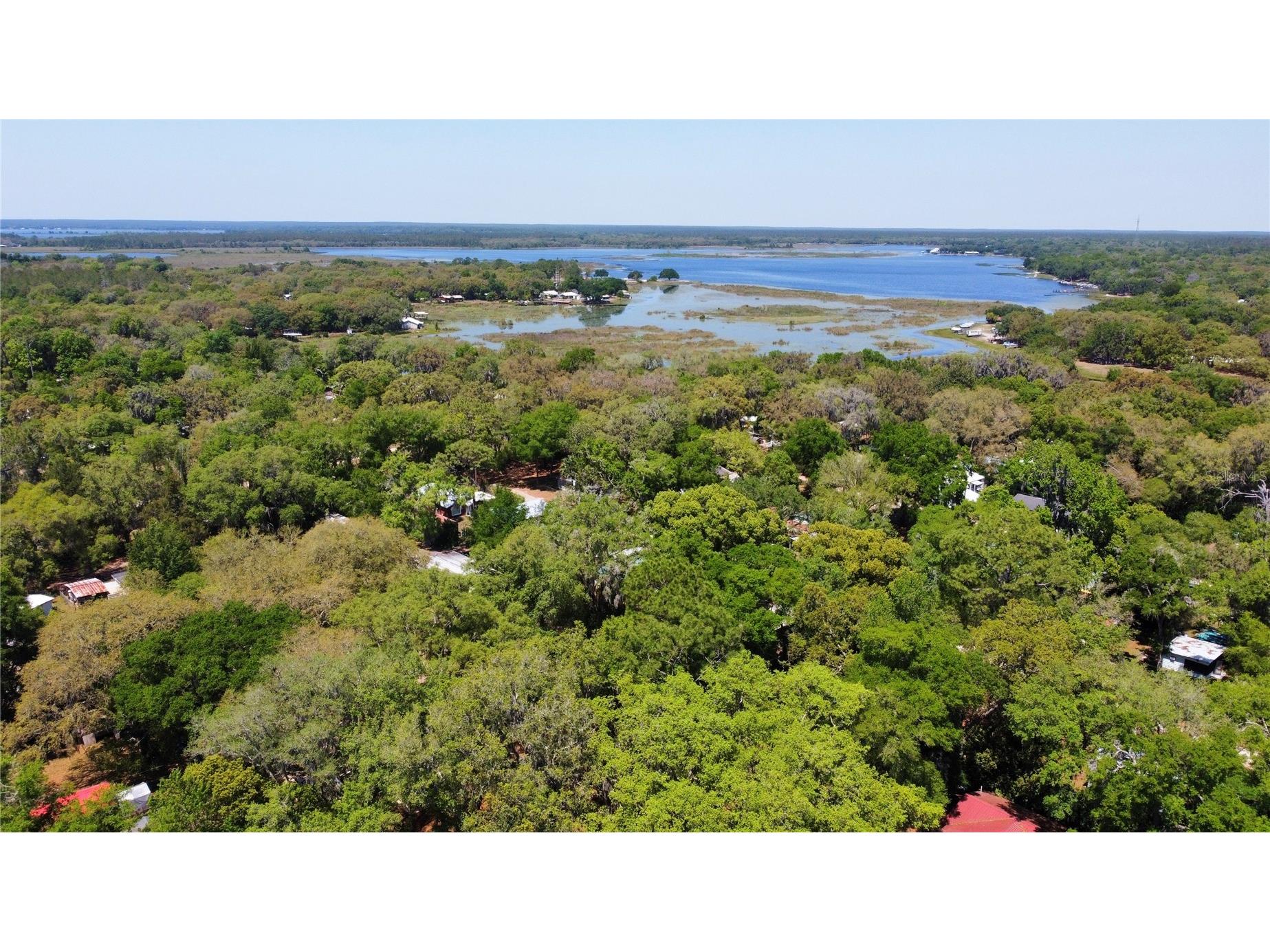 25292 NE 132nd Lane Fort Mc Coy FL 32134 OM699312 image21