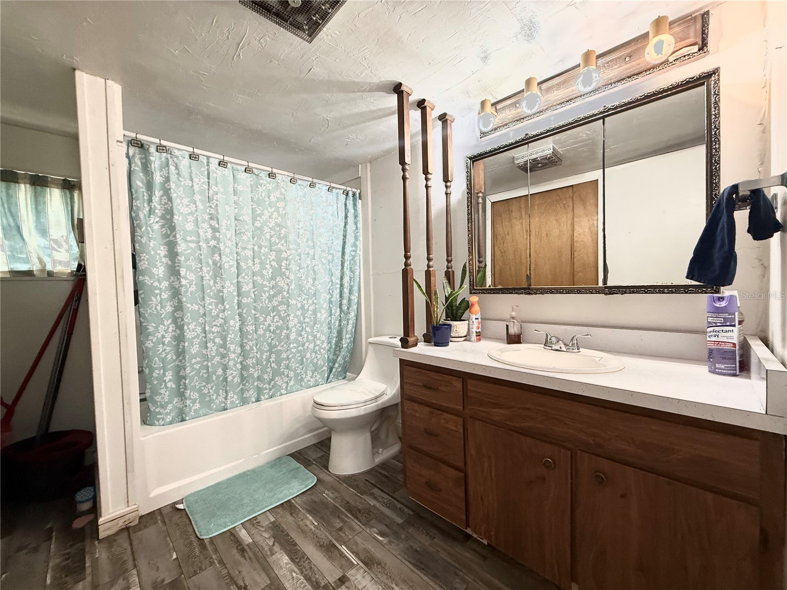 25292 NE 132nd Lane Fort Mc Coy FL 32134 OM699312 image6