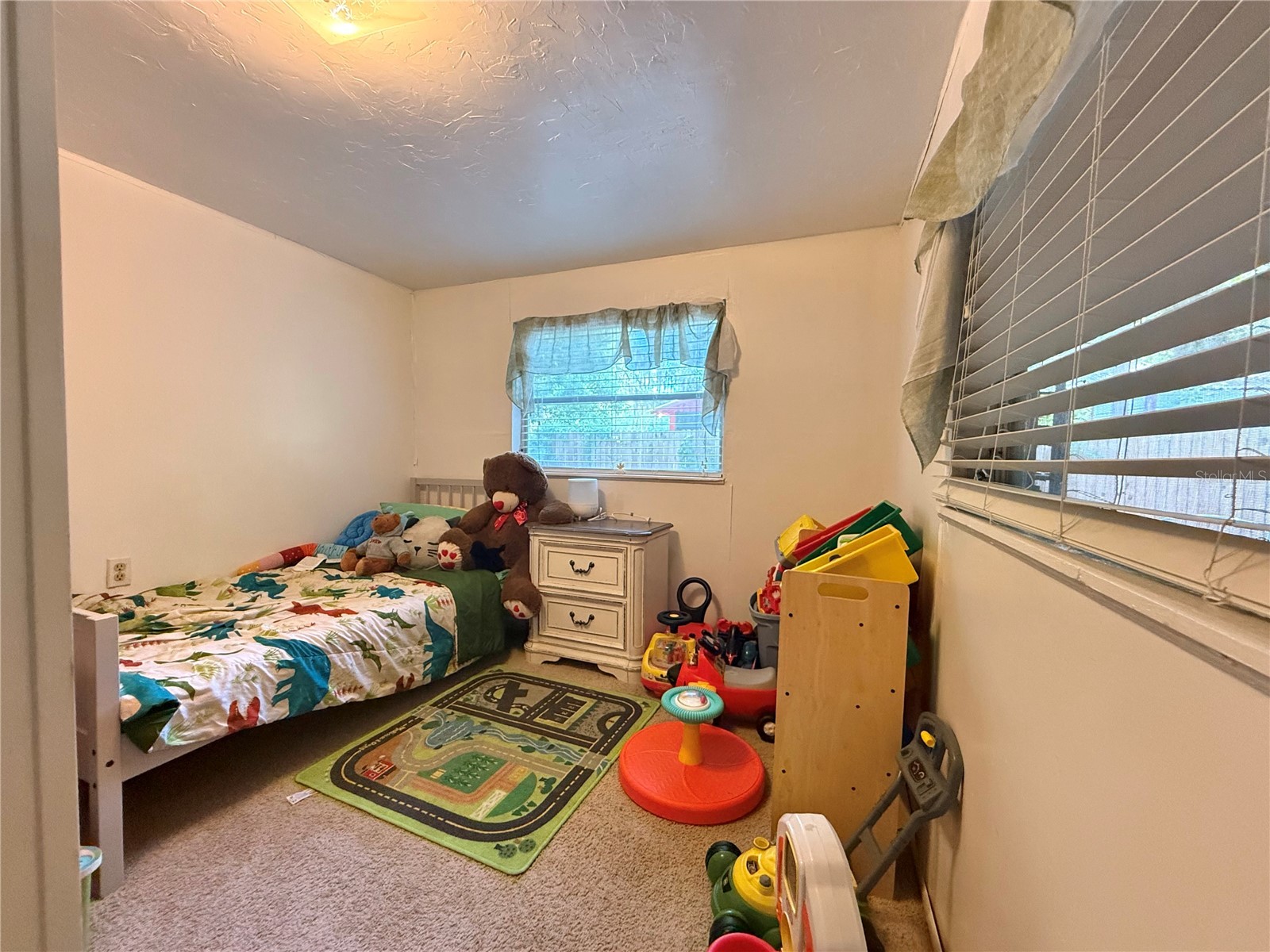 25292 NE 132nd Lane Fort Mc Coy FL 32134 OM699312 image8