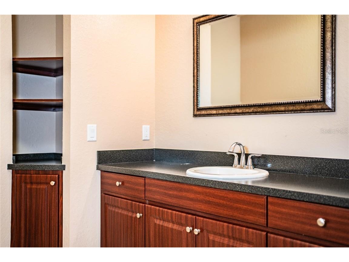 253 Alexander Woods Drive Plant City FL 33563 L4955332 image36