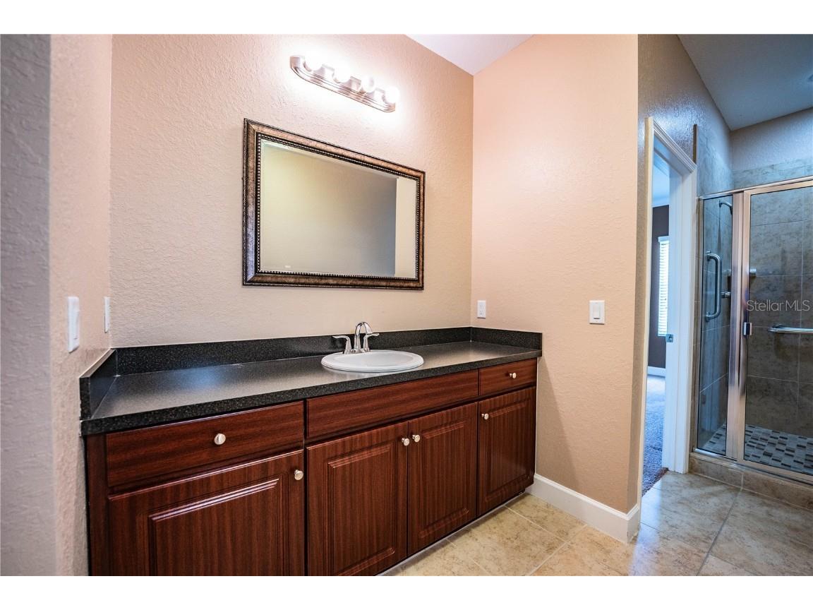 253 Alexander Woods Drive Plant City FL 33563 L4955332 image38