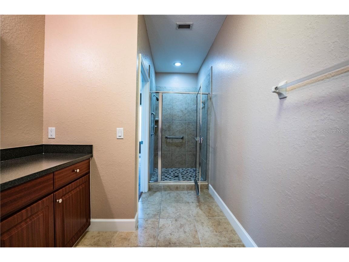 253 Alexander Woods Drive Plant City FL 33563 L4955332 image39