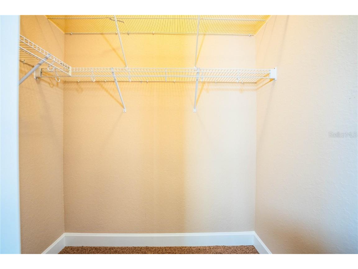 253 Alexander Woods Drive Plant City FL 33563 L4955332 image40