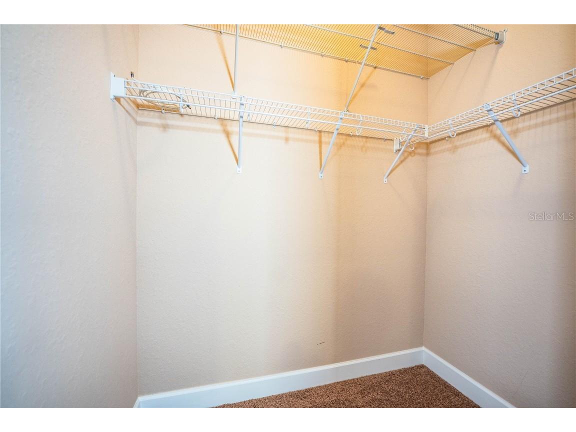 253 Alexander Woods Drive Plant City FL 33563 L4955332 image44