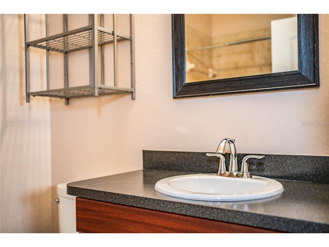 253 Alexander Woods Drive Plant City FL 33563 L4955332 image46