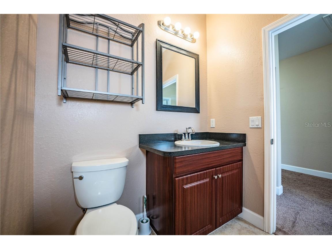 253 Alexander Woods Drive Plant City FL 33563 L4955332 image47