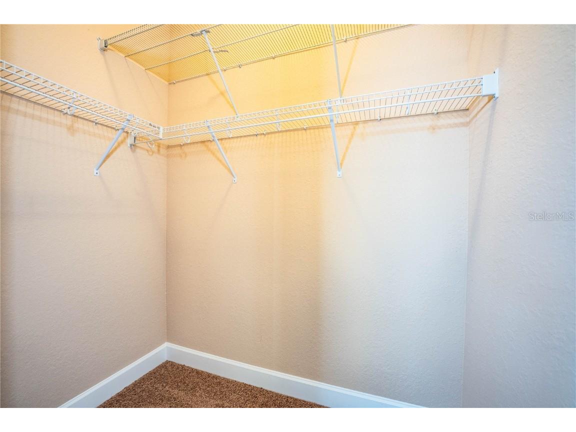 253 Alexander Woods Drive Plant City FL 33563 L4955332 image50