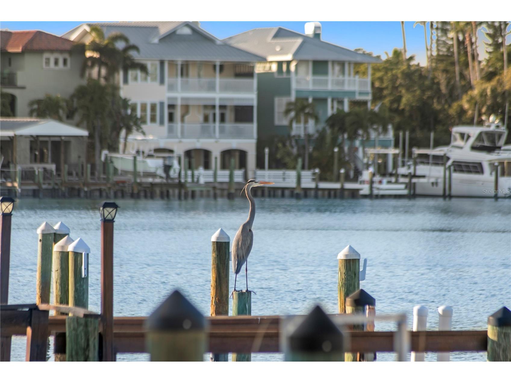 253 Hermosita Drive Saint Pete Beach FL 33706 - PASS A GRILLE BACK CHANNEL TB8462364 image37