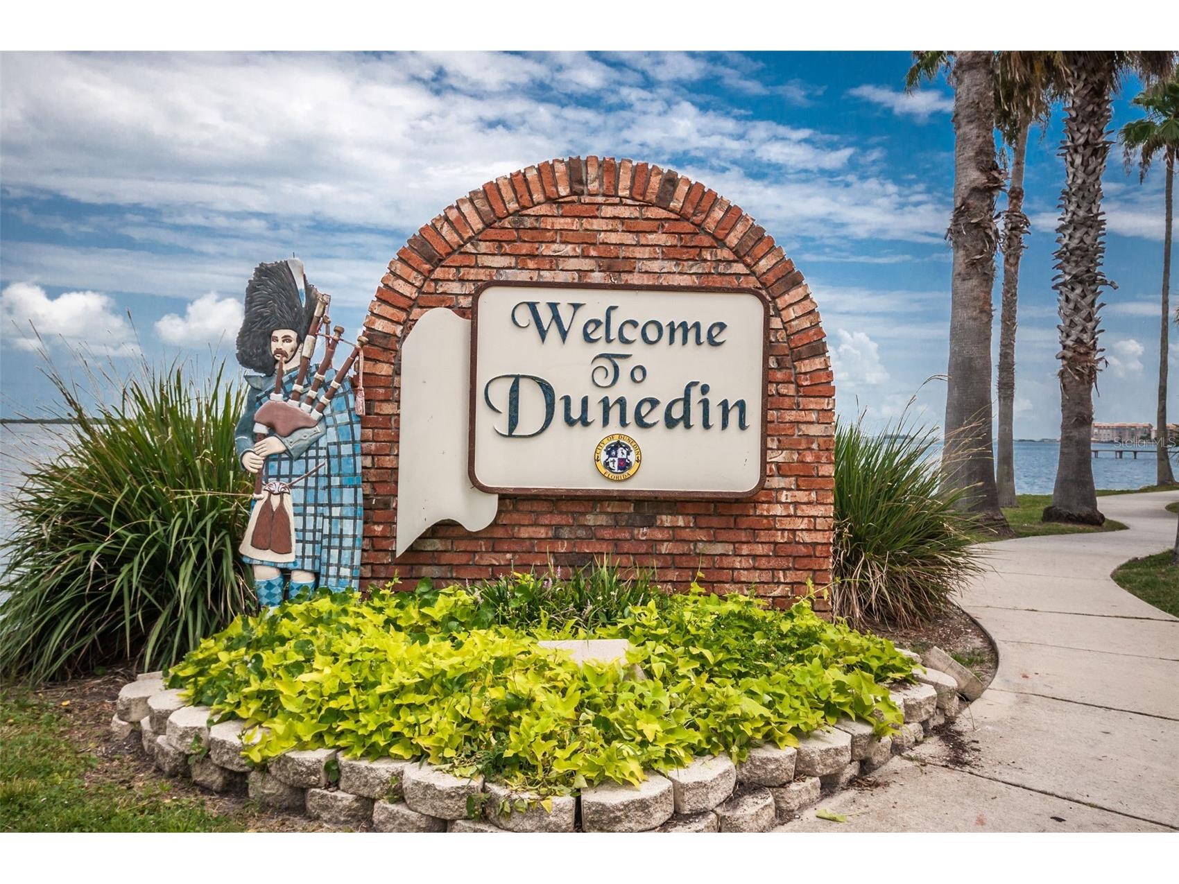 253 Park Circle S Dunedin FL 34698 TB8496788 image46